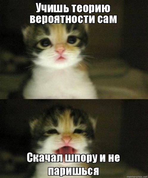 Русский котенок Мем