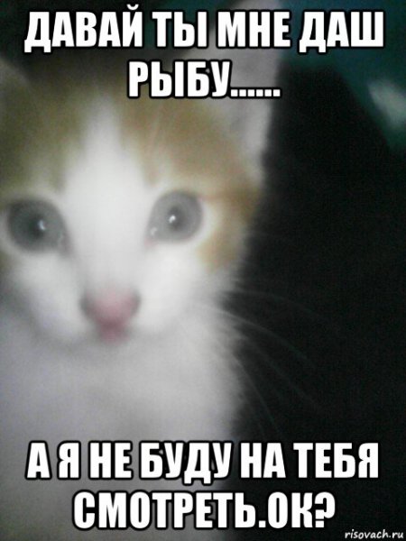 Даш мне