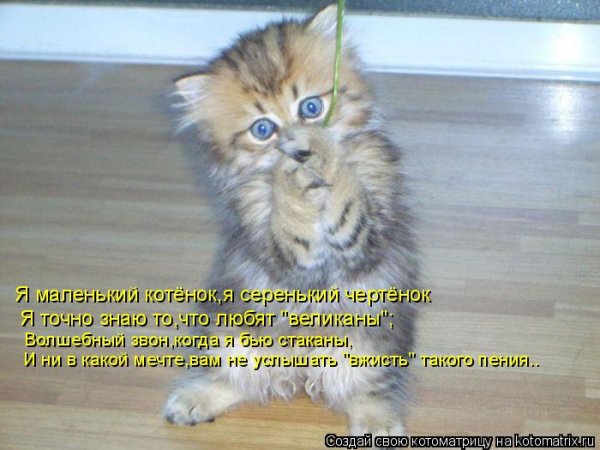 Я русский Мем котик