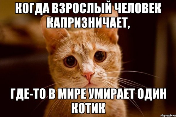 Я русский Мем котик
