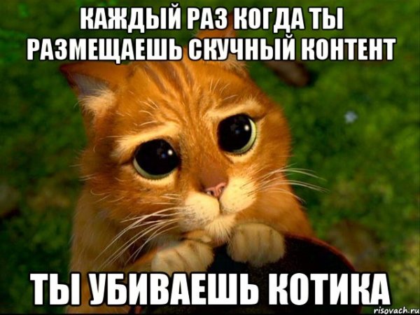 Мемы с котятами