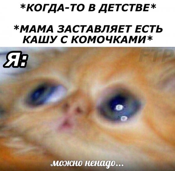 Можно не надо Мем