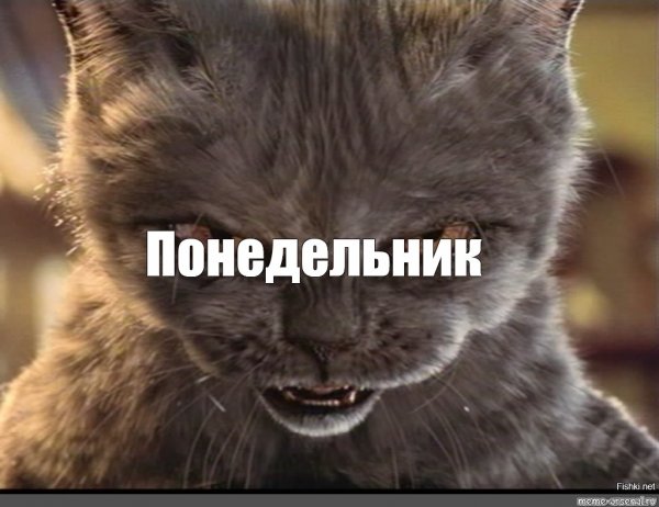 Злой понедельник