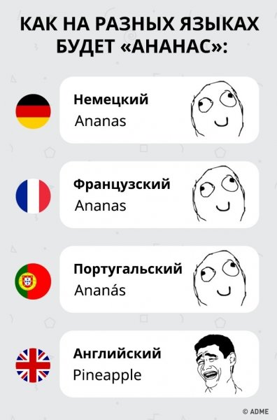 Приколы про иностранные языки