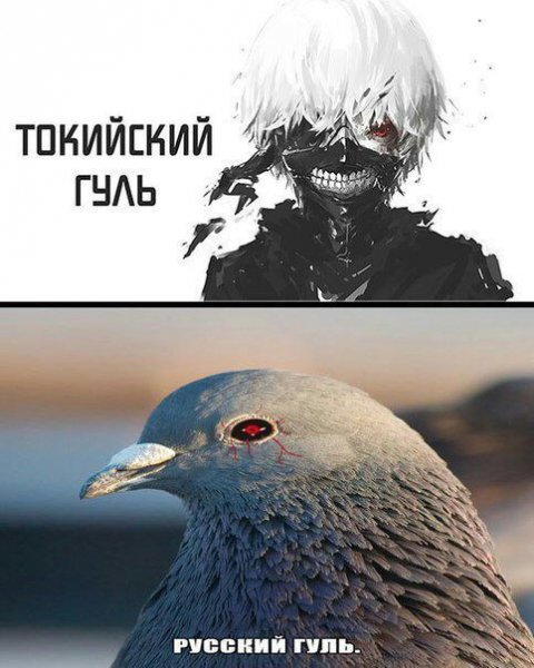 Аниме Мем Токийский гуль