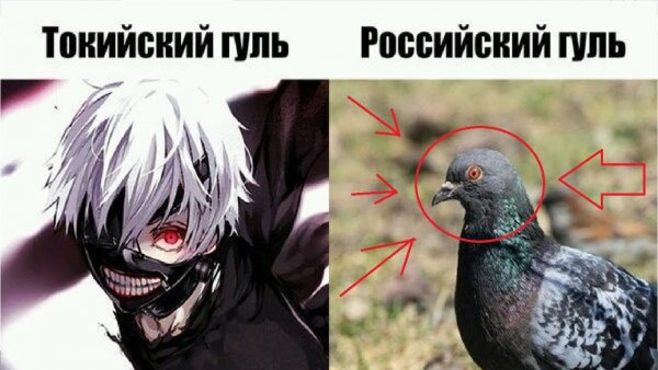 Гуль мемы
