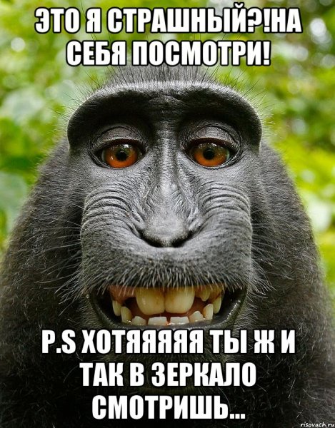 Обезьяна думает Мем