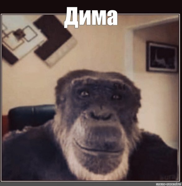 Обезьяна из мема