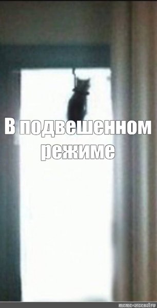 Мемы про котенка который повесился (47 фото)