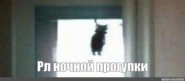 Котик повесился Мем