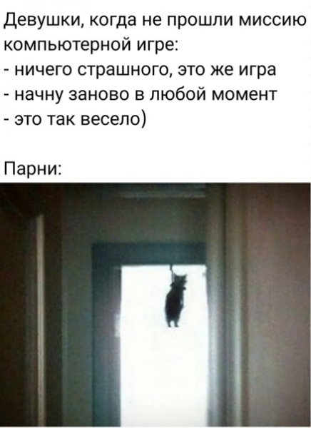 Кот повесился Мем