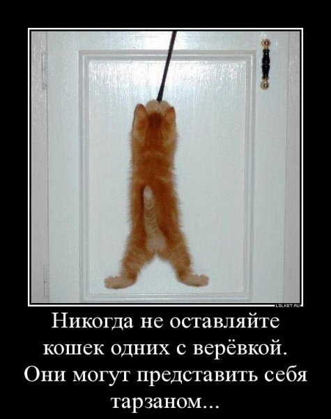 Meme повесился
