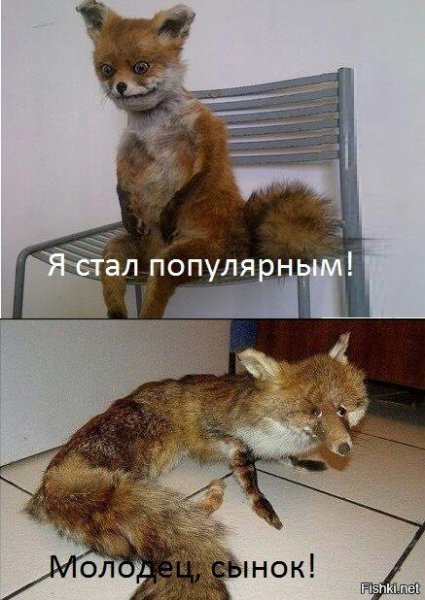 Упоротый Лис Мем