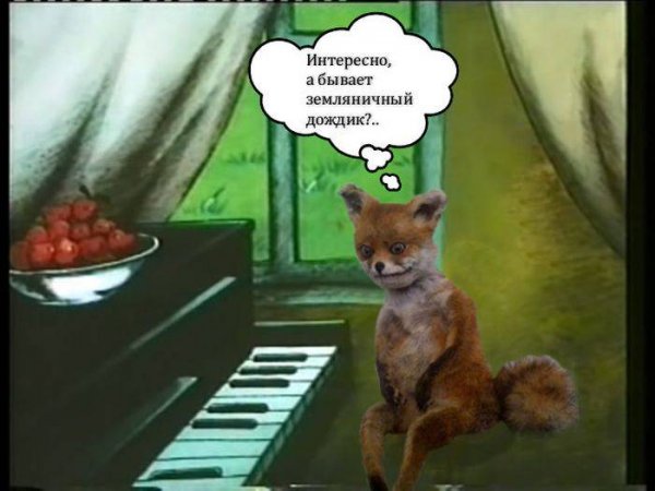 Упоротый Лис мемы