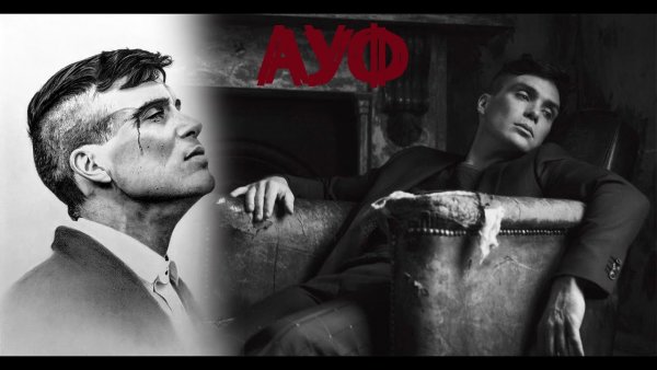 Томас Шелби Бебра