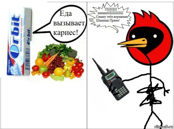 Омская птица мемы лучшие