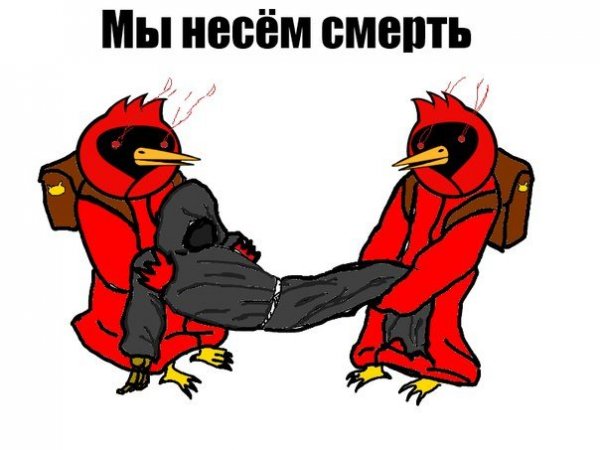 Каламбур Омская птица
