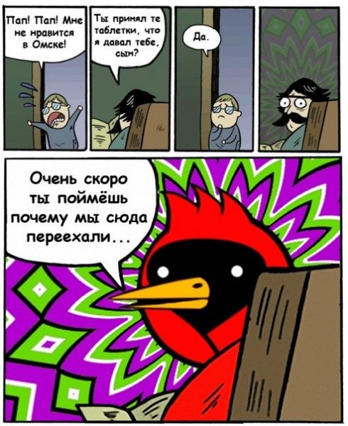 Птица омич