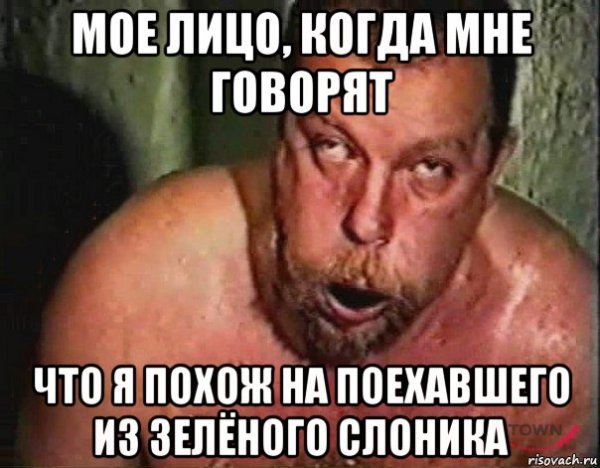 Зеленый Слоник мемы