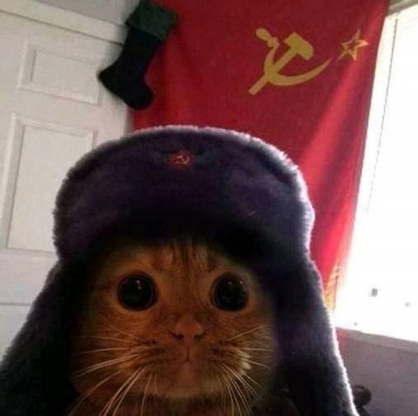 Сердюк Алексей Абакан