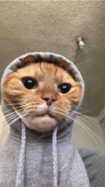 Человек с радугой в руках