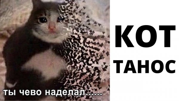Ты чего наделал