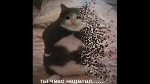 Ты чего наделал