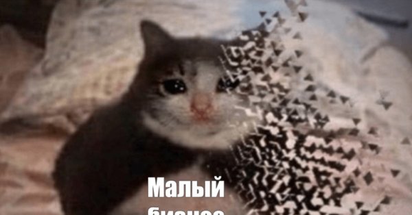 Ты чего наделал Мем с котом