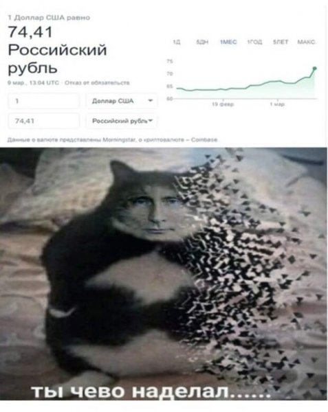 Исчезающий кот Мем