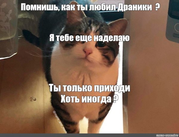 Кот рассыпается Мем