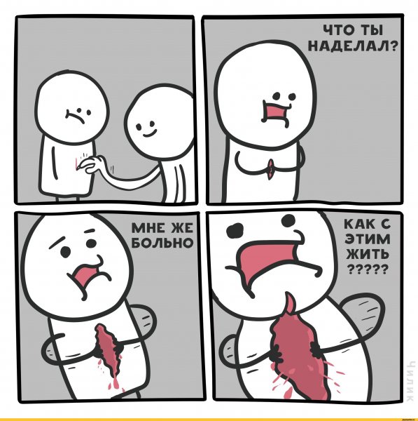 Что ты наделал кот