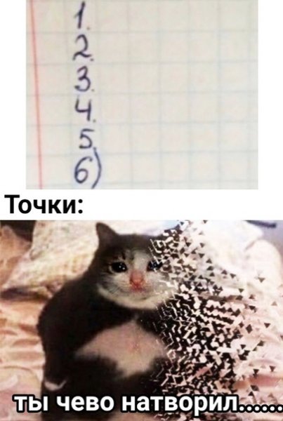 Ты чего наделал Мем с котом