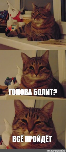 Добрые мемы с котами