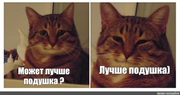 Кот улыбается Мем
