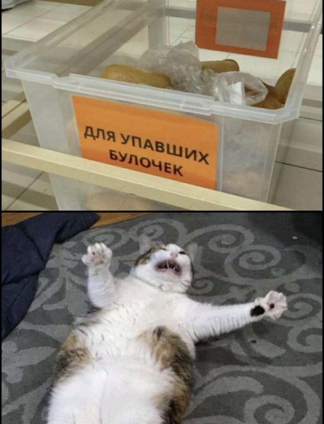 Ха ха картинки с надписями