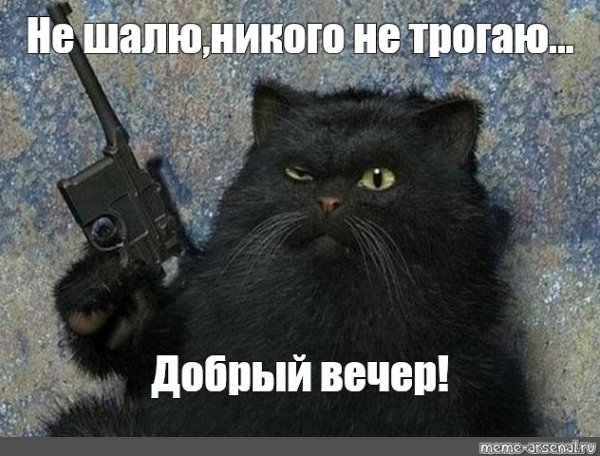 Добрый вечер мемы