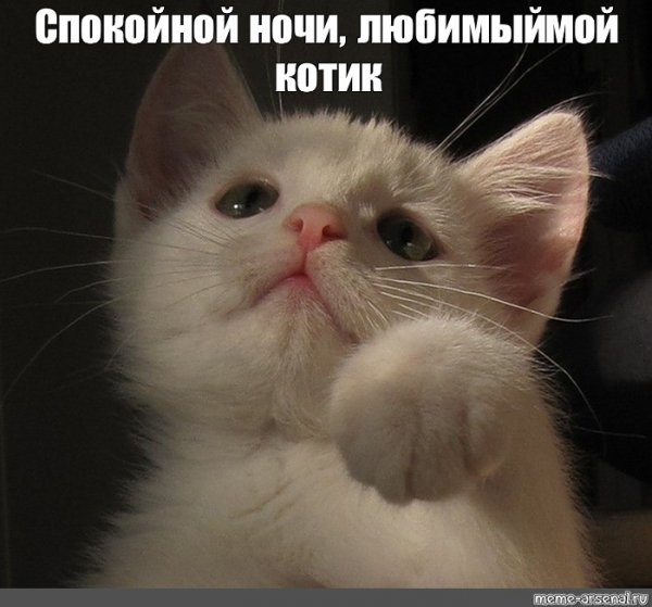 Сладких снов Мем