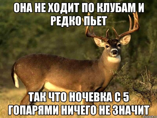 Олень мемы