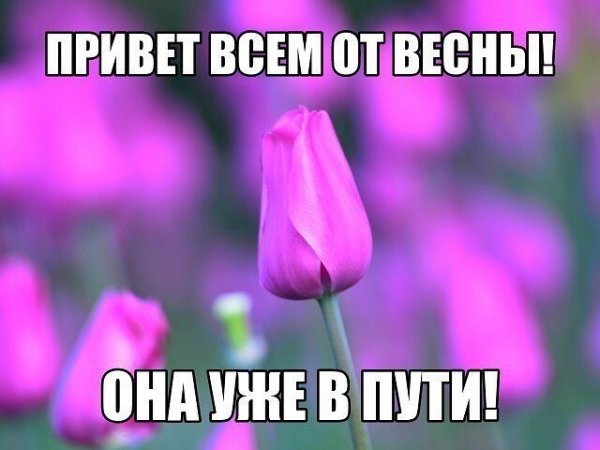 Всем привет от весны она уже в пути