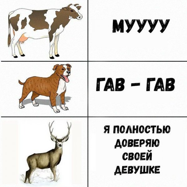 Картинка со звуком Мем
