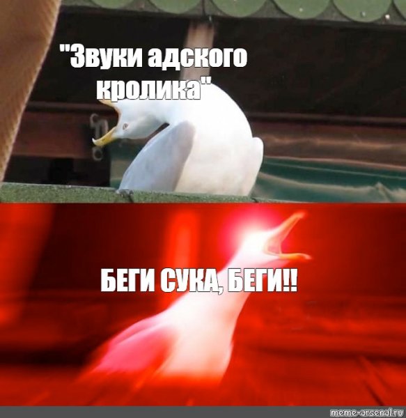 Звук мема