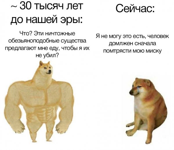 Мемы про двух собак (42 фото)