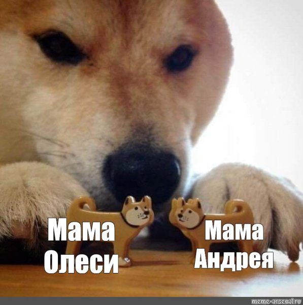 Мем собака с двумя игрушечными собаками