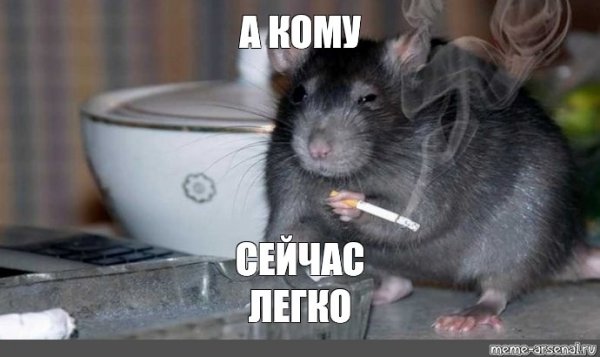 А кому сейчас легко Мем