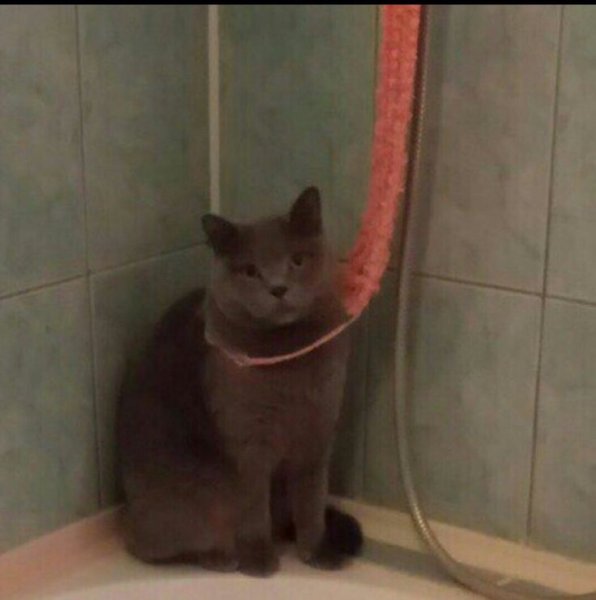 Ну а кому сейчас легко