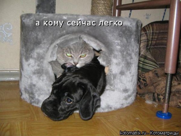 А кому сейчас легко