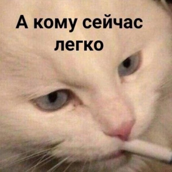 А кому сейчас легко