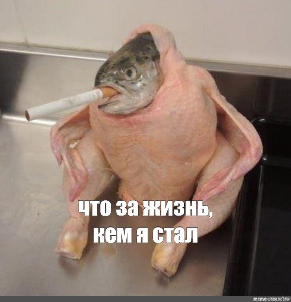 Рыба в курице с сигаретой во рту