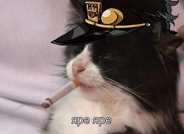 Курящий кот