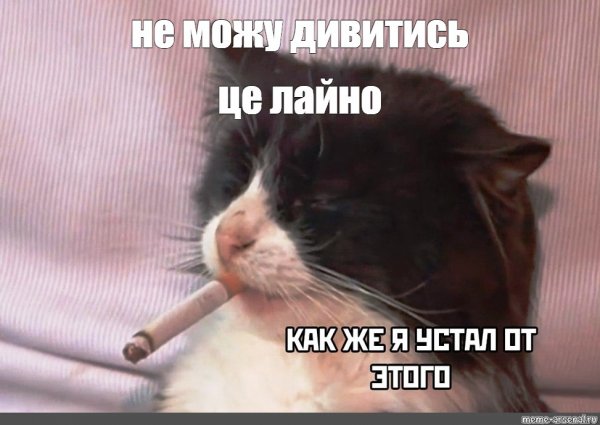 Кот с сигарой Мем